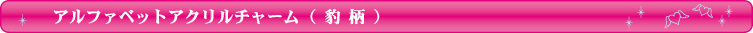 LUCKYチャーム